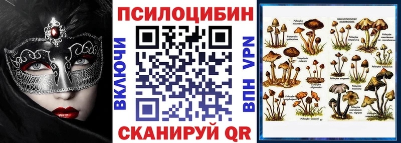 Псилоцибиновые грибы GOLDEN TEACHER  Александровск 